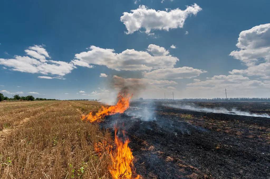 Stubble Burning Associated Risks and NewGeneration Alternatives